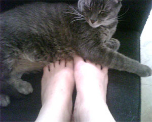Illustration for article titled Why Are Mike Cherico's Feet Prettier Than Ours?